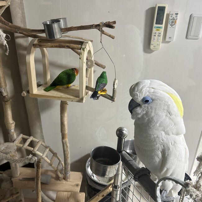 ゆみとむのカバー写真