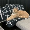 ふぁみま