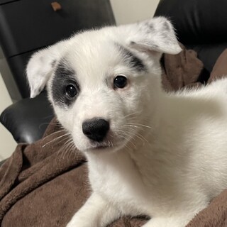 人慣れ◎グリーンくん