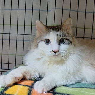 〝クオレ君〟です♩