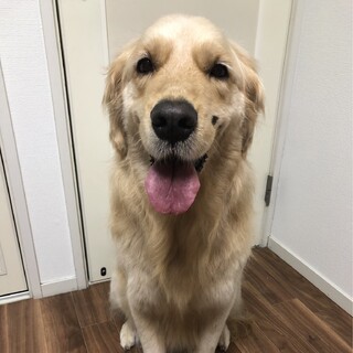 Τ���罸�Υ�����ǥ��ȥ�С�