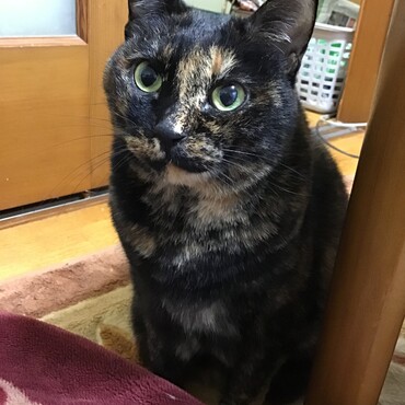 倖ちゃん、９歳のお誕生日おめでとう