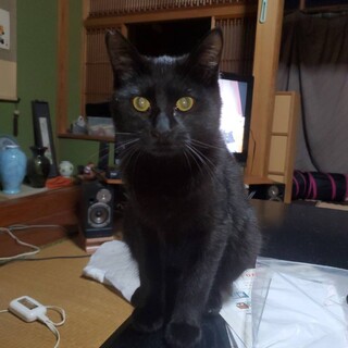 最初だけビビりです( ´ ▽ ' )ﾉ