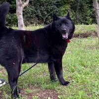 【オモイ】人懐っこい男の子☆