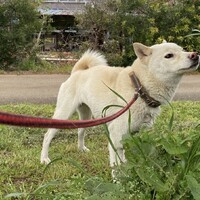 【のぞみ】少し気が強めな女の子