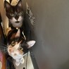 ふーとみー