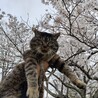 〝グリリ君〟です♩ サムネイル4