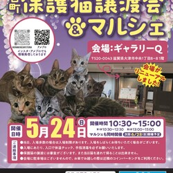 百町保護猫譲渡会＆マルシェ