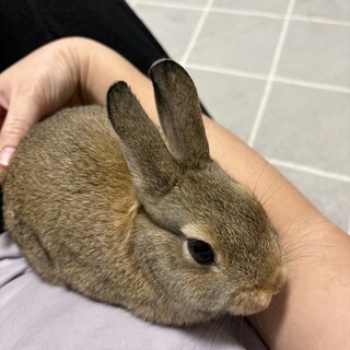 人が大好き　今年1月9日生まれ　