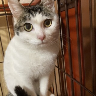 �l�ɂ��L�ɂ��������ėF�D�I�I�z�Ƃ������L�􂱂�