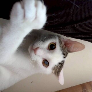 天真爛漫で甘えん坊な男の子