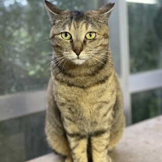 �Â������Â������A�� �g�͂Â��h �ł�