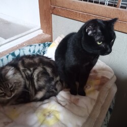 しわす病院へ