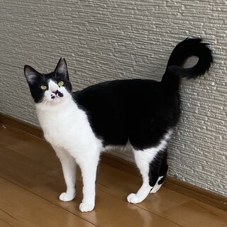 �t�����h���[�ȉ������~������?1�Δ�