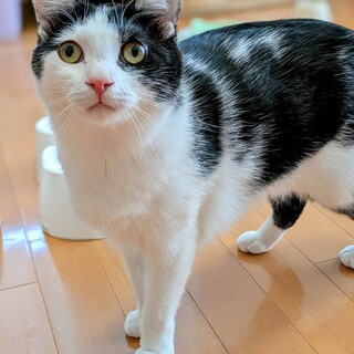 〝はっち〟ちゃん♩