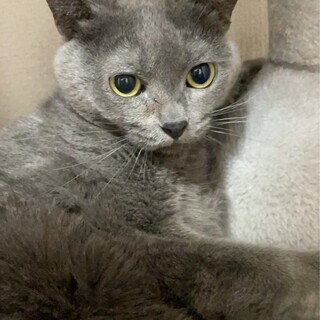 �^���̐l��W���I�����₿����?