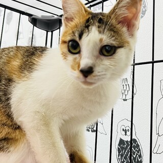 �X���X���Â���������C�����??��?6����