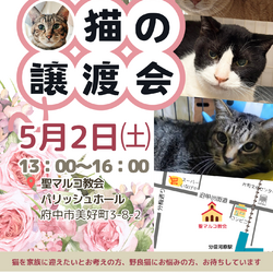 ５月２日（土）「保護猫の譲渡会」開催します！