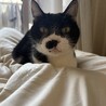 もんちむん