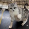 ★代理投稿★うみちゃん★ サムネイル6