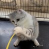 ★代理投稿★うみちゃん★ サムネイル7