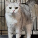 ★代理投稿★プラムちゃん★