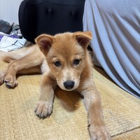 Yuuchan