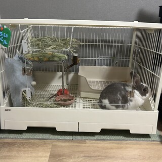 男の子９ヶ月　らい君