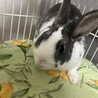 男の子９ヶ月　らい君 サムネイル2