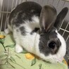 男の子９ヶ月　らい君 サムネイル4