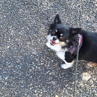 むぎ