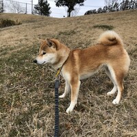 さら