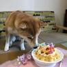 里親募集 サムネイル6