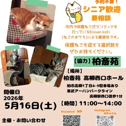 柏斎苑保護ねこ里親会
