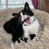 人見知り馴れると甘えん坊★ショーンくん サムネイル3