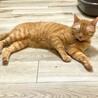 ご飯はガツ食い肉食男子、シャイなふたばくん❣️ サムネイル4