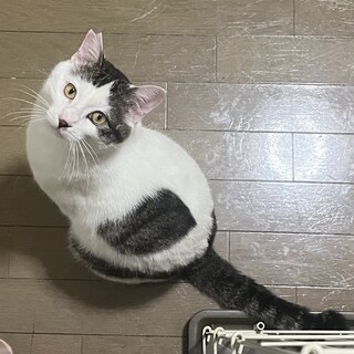 超ゴロスリの男の子です