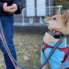 「豆助」男の子 サムネイル3