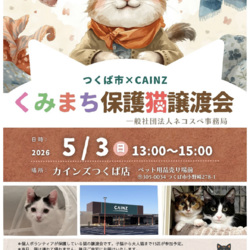 くみまち保護猫譲渡会