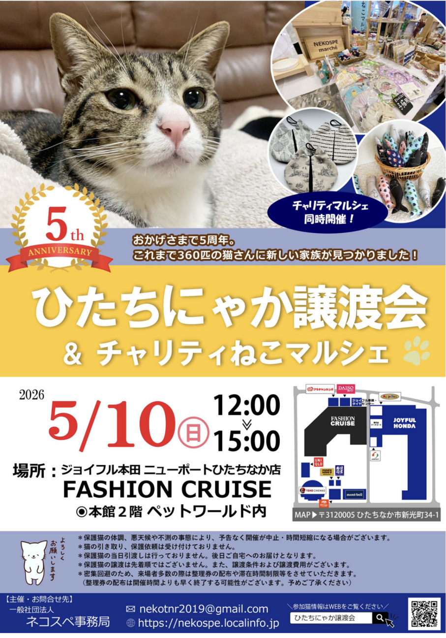 ひたちにゃか譲渡会」（ネコスペ事務局のイベント #28919） :: ペット