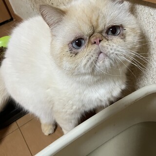 怖がりな気弱くん