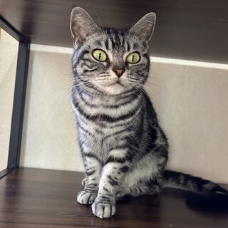『ちひろ』警戒心がちょっと強い子