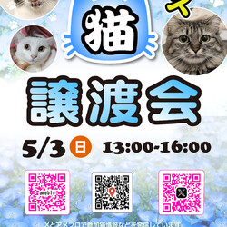 ほごねこ東京譲渡会＠尾久