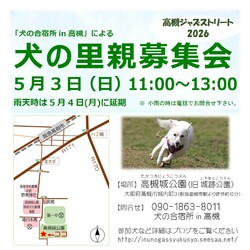 高槻ジャズストリートでの犬の里親募集会