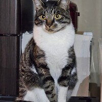おこめ