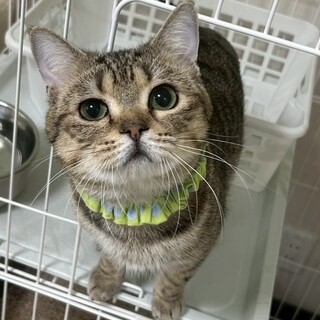 愛されフェイスの持ち主、じろうくん♥