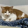 自然とそばに馴染める協調性抜群タイプのだいくん‎☆ サムネイル2