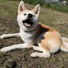 笑顔がとってもキュート♡ねねちゃん