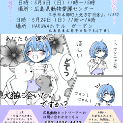 犬猫譲渡会