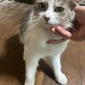 家族になってくれる方大募集！